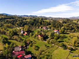 FILM! Edificu remarcabil, deschidere oportunitate de customi