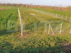 Teren intravilan, 1900 mp, zona Ambud