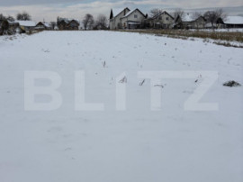 Teren intravilan de v&acirc;nzare. 1696 mp - Mitocul Dragomirnei,