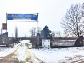 Domeniu privat, 12.500 mp teren, satul Viișoara - T&acirc;rgovi?