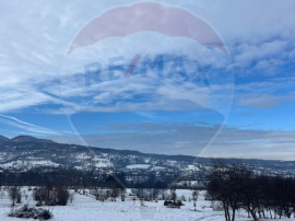 Teren de vanzare in Manastirea