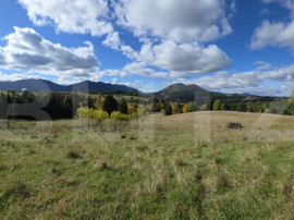 Teren 1,5 hectare - la Piatra Fantanele