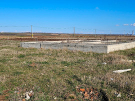 Teren 1000 mp, cu fundatie si elevatie, Dumbrava Rosie