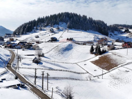 Teren intravilan | 1380 mp | Fundata