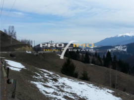 Moeciu, Drumul Carului, teren 3750 mp, 75000 euro