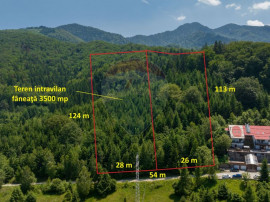 TTeren intravilan, 3500 mp, D&acirc;mbu Morii