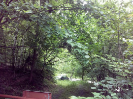 Proprietate rară &icirc;n inima Retezatului &ndash; 5.700 mp teren intravilan