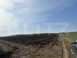 TEREN ARABIL EXTRAVILAN 15.000 mp SANTUHALM