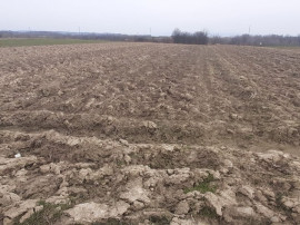 Mocira, 29 ari teren