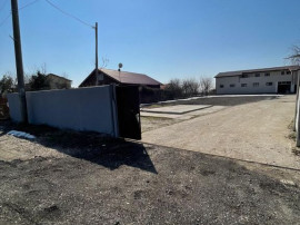 Hala 595 mp + teren 1500 mp Frumusani ( stradal )