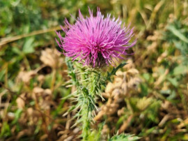 Garaj/parcare subterana Apahida