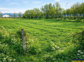 Teren extravilan 1450 mp, din care curti constructii 312 mp,