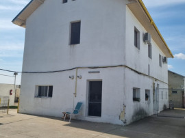 AFACERE LA CHEIE FERMA DE PORCI