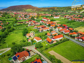 FILM! Casa traditionala, curte, gradina, anexe, extensie ter