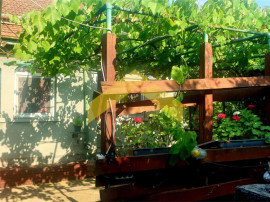 Casa la sol de Timisoara, zona Mehala