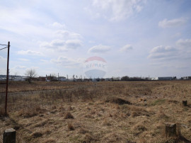 Teren 2,900mp Scheia / Strada Humorului