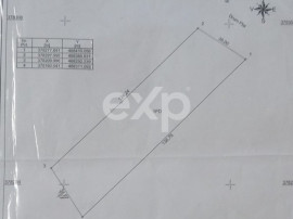 Padure de vanzare Budeasa Sudeaua