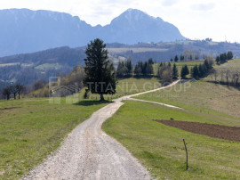 Teren Intravilan 3.791 mp | Priveliște Panoramică Super...