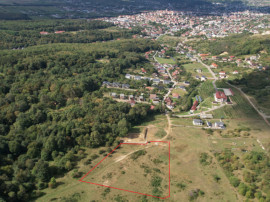 Teren intravilan constructii 1 ha, zona exclusivista, Meses/