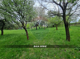 Teren in Baia Sprie de vanzare | Strada Closca