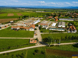 FILM! 25.400mp teren Complex agrozootehnic cu traditie, acc