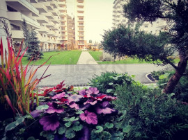 Apartament de 3 camere cu gradina