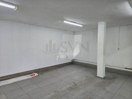 Spatiu comercial Ion Mihalache