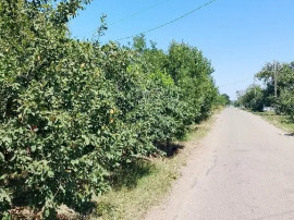 Vand casa locuibila Izvoarele
