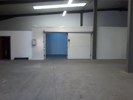 Hala 626 mp. zona UTA - ID : RH-10165-property