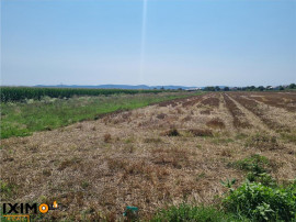 Teren Calea Barladului