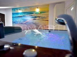 Vila cu 4 apartamente si o mansarda Tineretului