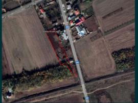 Teren 3054 - Gradistea IF