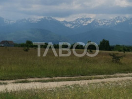 10 ha teren pretabil investitii 20 euro/mp Valea Avrigului S