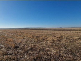 Teren Gradinari, cota 1/2. ID: R1983933