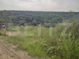 Teren 2350 mp l&acirc;ngă pădure ,zona Leamna de Jos