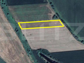 Teren agricol de v&acirc;nzare &icirc;n zona Careiului