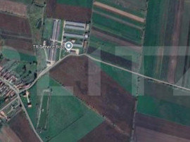 Teren extravilan de vanzare, 5000 mp, zona Bod