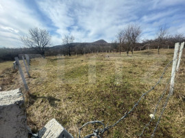 Teren extravilan de vanzare, 1000 mp, zona Valea Rusului