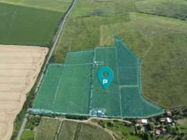 Vie Tradițională &bdquo;Halta Lupilor&rdquo;