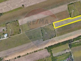 Teren intravilan de v&acirc;nzare in Giurgiu / acces DN5B