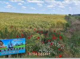 Teren intravilan de vanzare in Lazu 5000mp