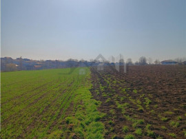 OCAZIE! Vorovesti Teren 83000mp intrav. si extrav. cu utilit