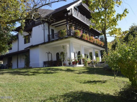 Topoloveni - Conacul Ion Mihalache, Domeniu pe 5 Hectare