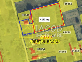 4162 mp teren parcelabil in loturi de 1000 mp, Dumbrava Ites
