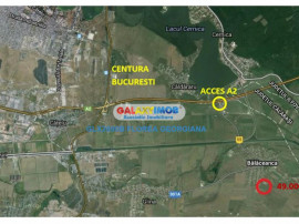 Teren 49.000 mp Balaceanca - Cernica