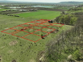 RECO, teren intravilan, Ineu,Bihor