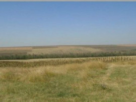 Teren Extravilan cota parte 1/4, Varlezi, ID: R2730256