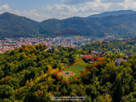 COMISION 0% Teren 2700mp / Strada Coltul Putinarilor/Poia...