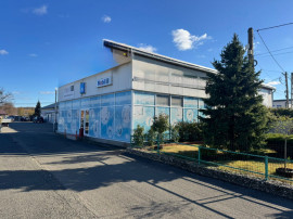 SERVICE AUTO Ultramodern (Business ultraprofitabil "la cheie