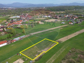 Teren de v&acirc;nzare intravilan Cătălina